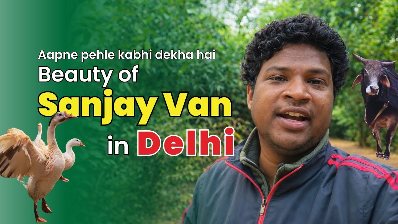 Beauty of Delhi Sanjay Van Park 