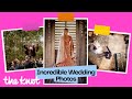 How to Get the Wedding Photos You Want | Tips from a Professional Photographer | The Knot