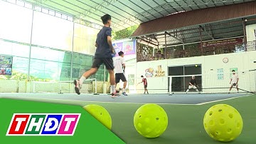 Tìm hiểu về kích thước của sân Pickleball | THDT