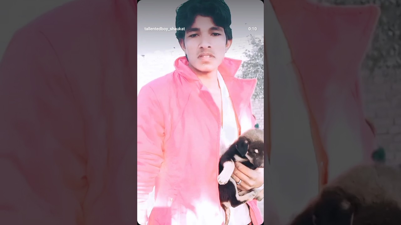 🔥 "Lijiye Sahib… Dog Bhi Aa Gaya, Indian Bhi Aa Gaya" | Amitabh Bachchan Mard Dialogue |  Scene