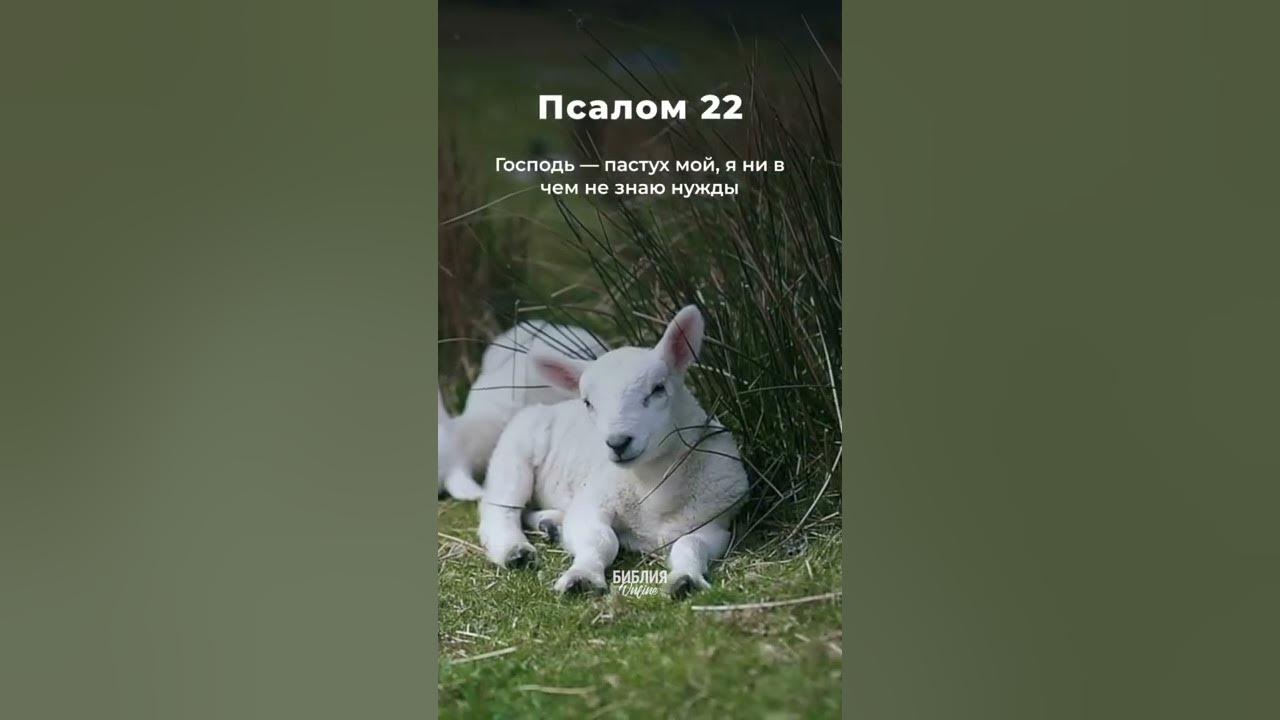 Псалом 22 современный. Псалом 22 современный