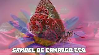 Samuel de Camargo CCB