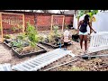 Small Garden Transition ☺️