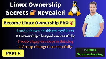 5 EXPERT Techniques to DOMINATE Linux File Ownership