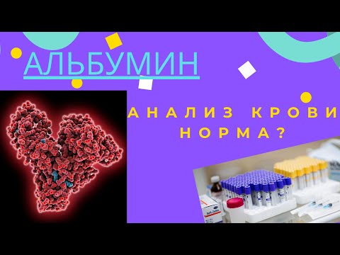 Альбумин анализ крови, норма?