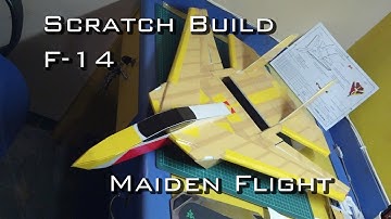 DLE: Scratch Build model aviation F-14