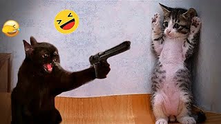 😂🤣 Try Not To Laugh Dogs And Cats 😻😆 Funny And Cute Animal Videos 2024 # 16