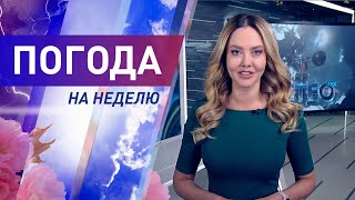 Погода на неделю 4-10 апреля 2022. Прогноз погоды. Беларусь | Метеогид