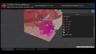 BEXAR COUNTY STATS 6 19 20