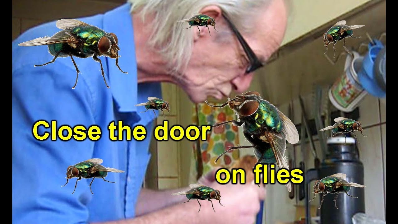 Flies Frame Make a cheap and pretty frame for a window screen to keep flies out of ...