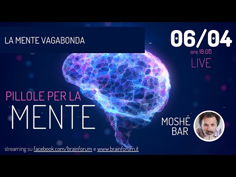 Video: Il prodotto innovativo fa in modo che gli animali vagabondano a casa più in fretta che mai