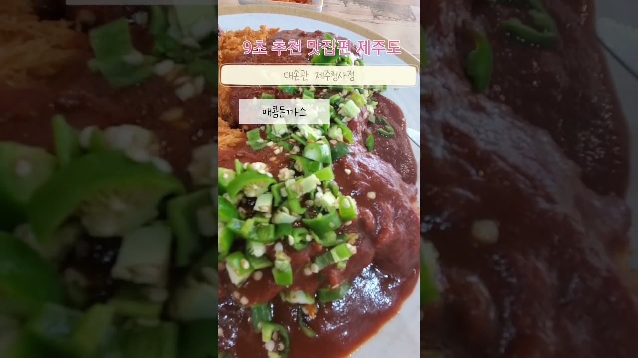 9초 추천 맛집 제주도 대손관 제주청사점 매콤 돈까스 1.3만원 가심비 9점 (제주 제주시 청사로 77 동남빌딩 1층)