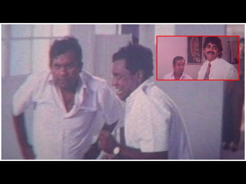 Akkineni Nagarjuna And Brahmanandam Comedy Scenes || Akkineni Nagarjuna Movies