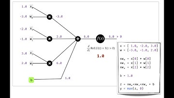 Neural Network Backpropagation Step 1:  Forward Pass