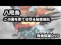 [2015]飛鳥昭雄DVDサンプル「八咫烏 この国を影で仕切る秘密組織」円盤屋