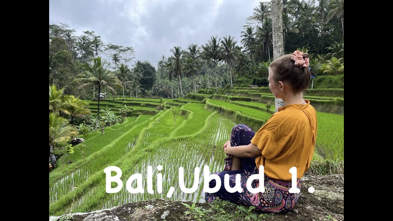 Ázsiai kalandok : Bali, Ubud! Majomerdõ, masszás, fodrászkodás, olcsó szállás és kaja.