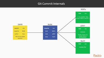 Learn Git in 3 Hours: What Is a Branch?|packtpub.com