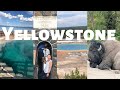 Yellowstone National Park (geysers, wildlife, hot springs!) // summer 2021 series #2