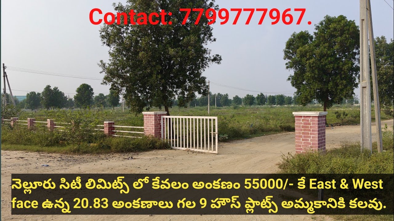 నెల్లూరు సిటీ లిమిట్స్ లో R&B రోడ్ ఫేస్ లేఅవుట్లో అంకణం 55000/- 20.83 అంకణాల east &west 9 ప్లాట్స్.