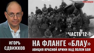 Игорь Сдвижков. На фланге "Блау". Авиация Красной армии над полем сражения. Часть 12-1