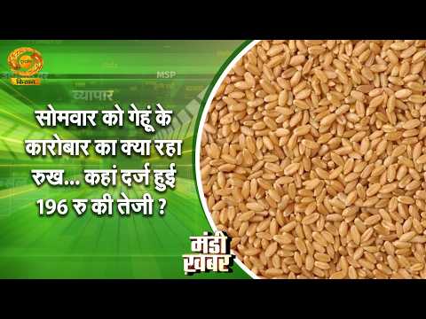 MP Malwa-Nimar Garlic & Onion Mandi Bhav: Mandsaur & Neemuch Record High Demand