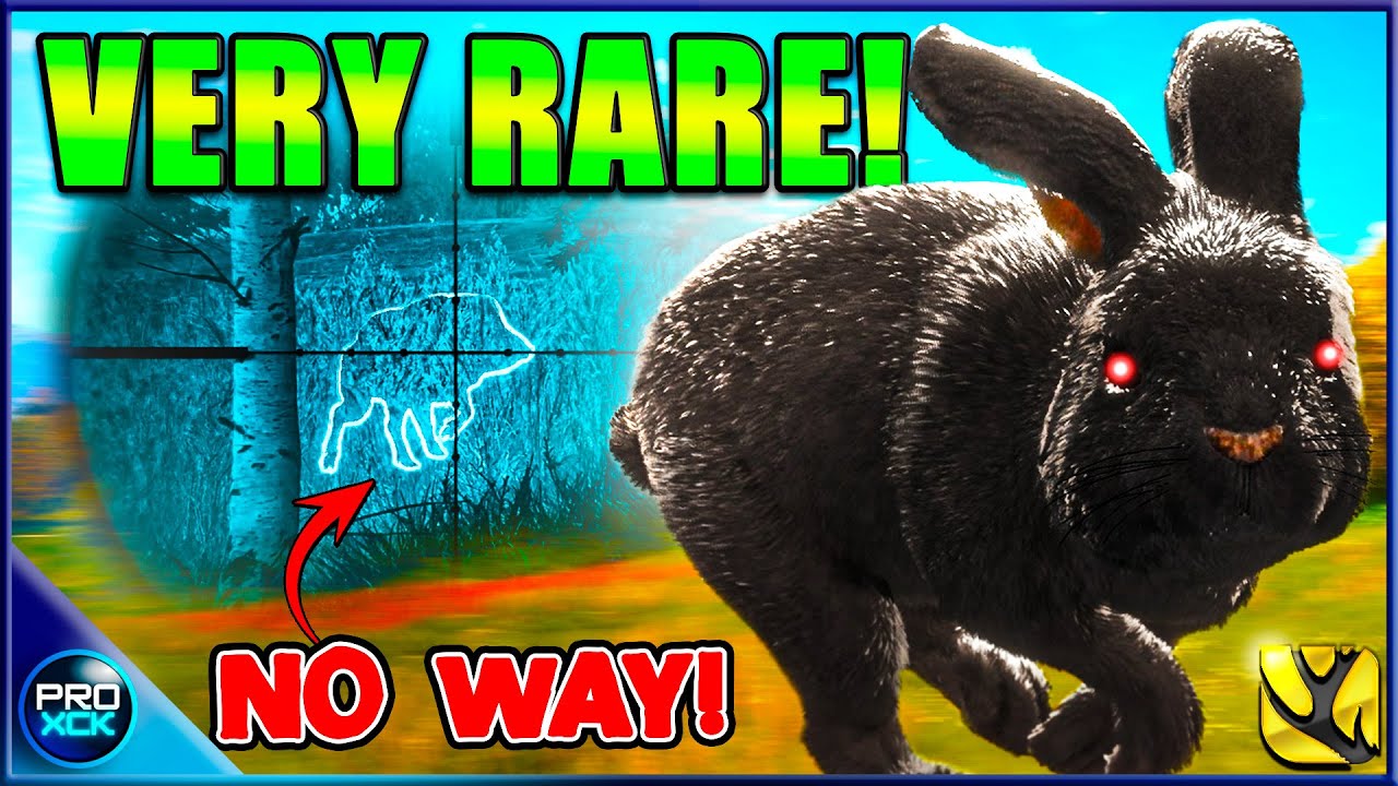 Surprise MELANISTIC Euro Rabbit!! | theHunter Call of the Wild - YouTube