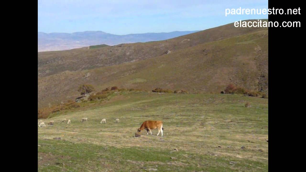 Bosque encantado en Lugros II Turismo Guadix YouTube