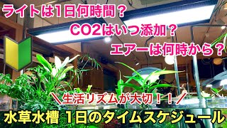 水草水槽の照明は何時間？いつCO2添加するの？エアレーションは何時間？「初心者のためのアクアリウム・まずタイムスケジュールを決めよう」ADAネイチャーアクアリウム、レイアウト立ち上げ、aquarium