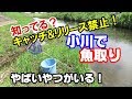 【小川でガサガサ】やばい奴がいる！知らないと逮捕！