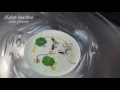 ヴィシソワーズ フランス料理教室 スープの作り方