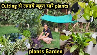 Balcony deep Cleaning|May Month Cutting plants🌵|Plant garden|Balcony garden|Chill Vibes with madhu