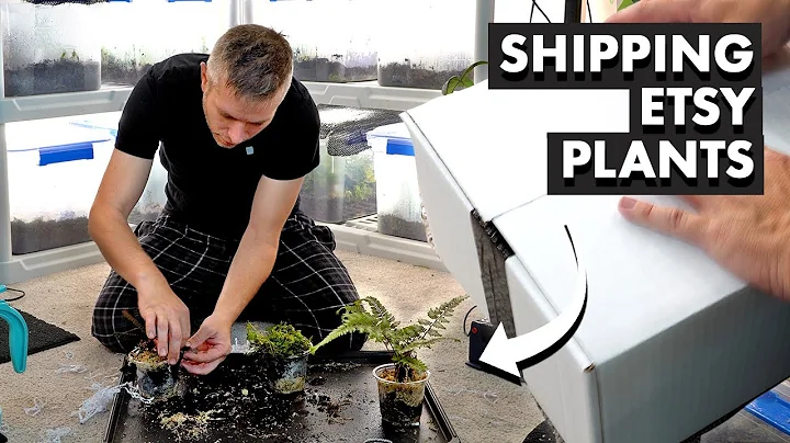 Shipping Terrarium Plants: Guide to Cali + Exciting Etsy Shop Update
