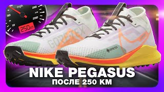 Nike React Pegasus Trail 4 GORE-TEX после 250км - как изменилось мое мнение после обзора!?