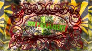 Cannabis Treaty Convoy - NSW Parliament - 23 rd August 2011