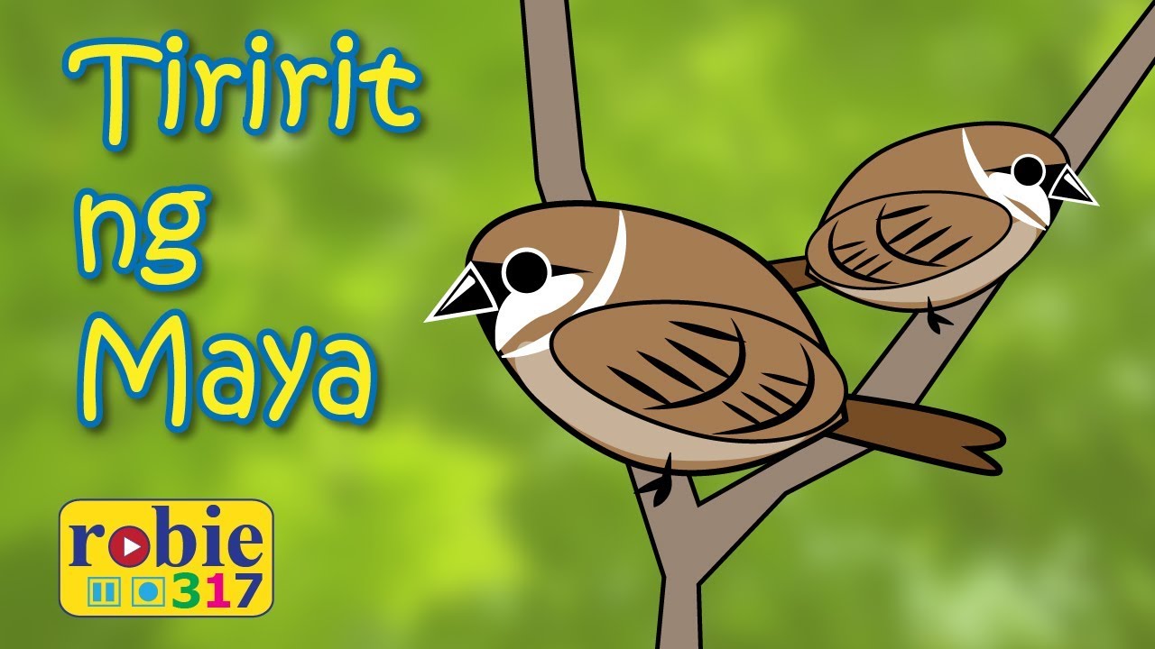 Tiririt ng Maya | Filipino/Tagalog Folk Song | robie317 - YouTube