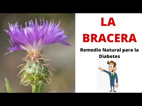 recetas-naturales-para-la-diabetes,como-curar-la-diabetes-(2020)