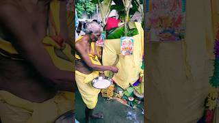 Baba Bhuya Puja Baba Karikh Puja Baba Salesh Puja Maiya Kamla Puja Manar Bhajan Mh Deva Devi