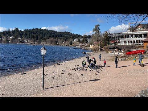 Титисее. Южный Шварцвальд. Titisee. Südschwarzwald.