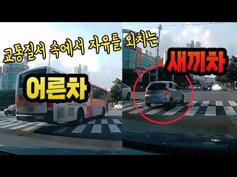 12416회. 좌회전차로에서 아무렇지않게 우회전하는 어른차와 새끼차