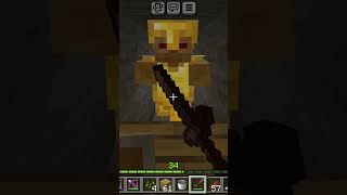 Meet full Gold armor zombie