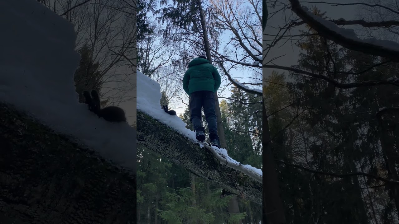 Ай ай какой плохой мальчик 