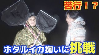 夜のホタルイカ掬いに挑戦！爆湧きなるか！？