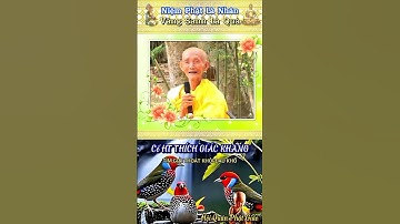 VỀ CÕI CỰC LẠC - HT THÍCH GIÁC KHANG #hoiquanphatgiao #phapamdaophat