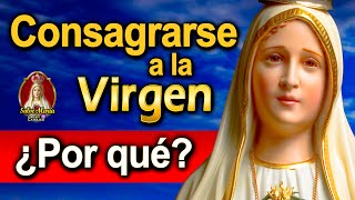 🎙️  ¿Consagración a la Virgen María? | Podcast Salve María Episodio 47