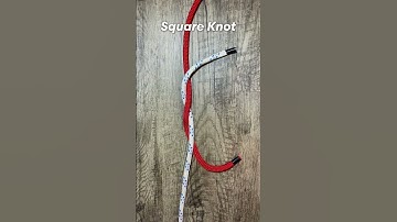 Knot of the Day - Square Knot #short (More info in description)