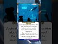 Golfinhos Têm Nomes Próprios! 🐬🔊