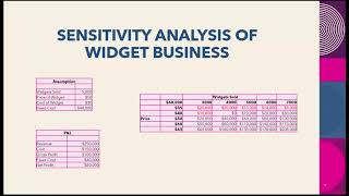 Famous Week 4   Sensitivity Analysis Net Worth