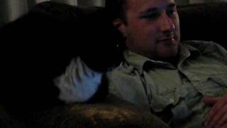 Whiskers and Telus