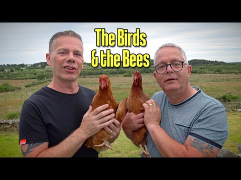 The Birds and the Bees Explained!