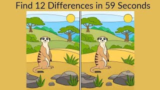 Find 12 Differences in 59 Seconds! 🧩 | Spot the Differences Challenge